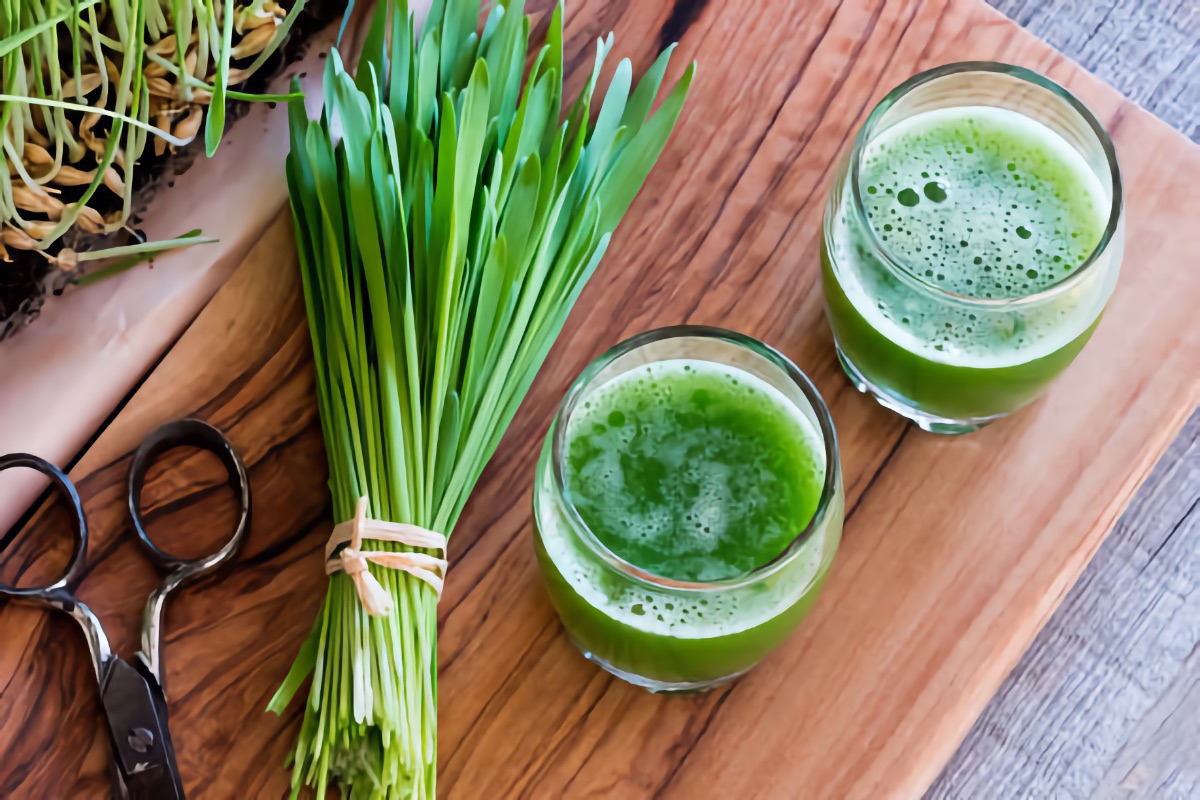 Honey Wheat Grass